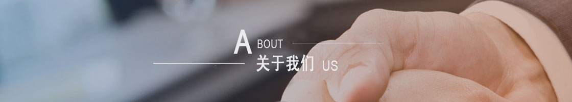 關于金蟻