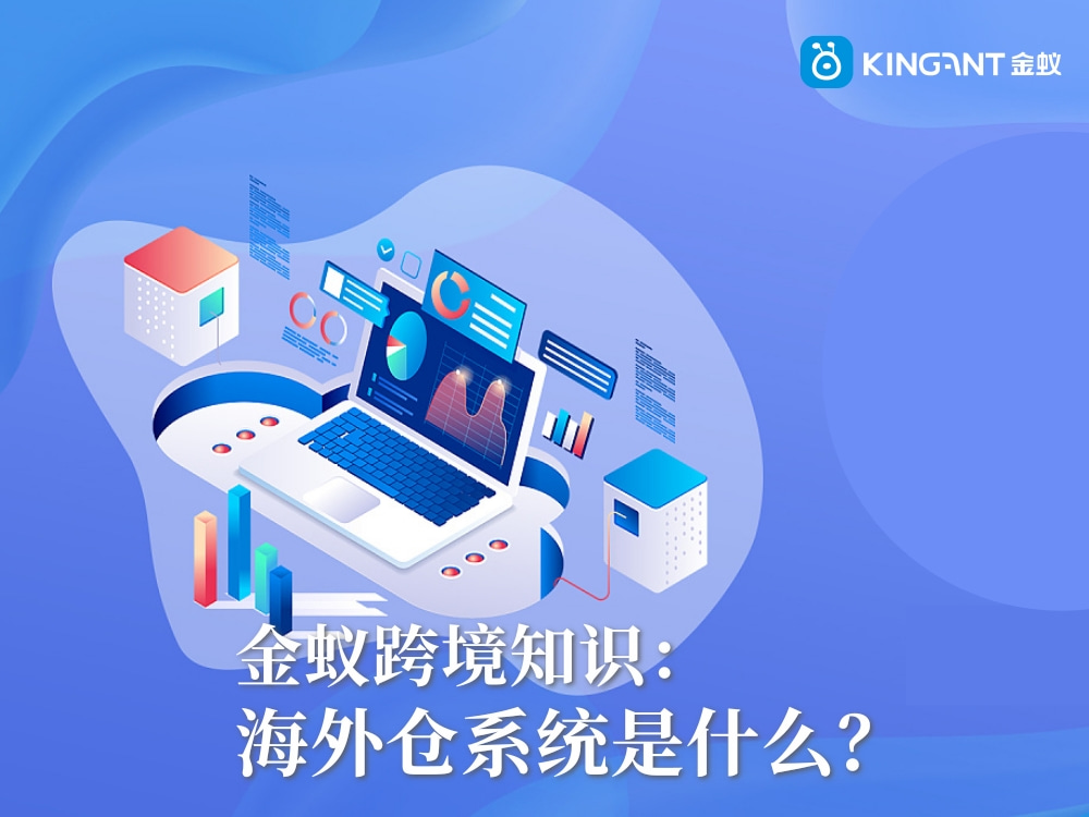 海外倉系統(tǒng)是什么？