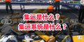 集運(yùn)是什么？ 集運(yùn)系統(tǒng)是什么？